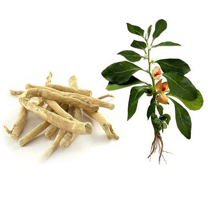 Organic Ashwagandha Root